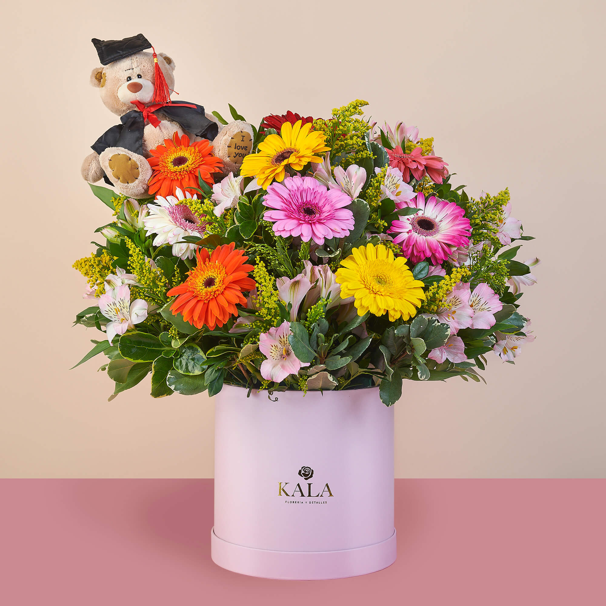 Box Gerbera Grad